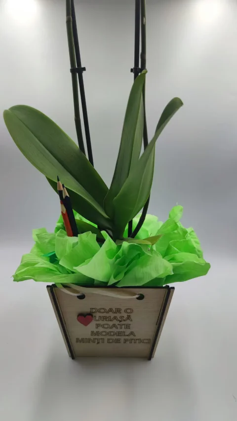 Cutie cadou Flori, aranjamente Florale 15x15 cm, Personalizabila cu mesaj