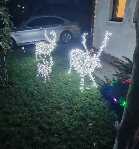 🦌 Ren luminos handmade pentru grădină și exterior – decor festiv LED