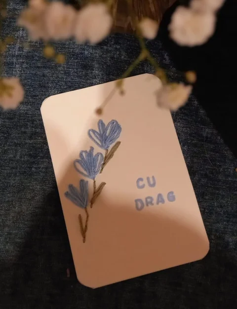 Felicitare cusuta pe carton