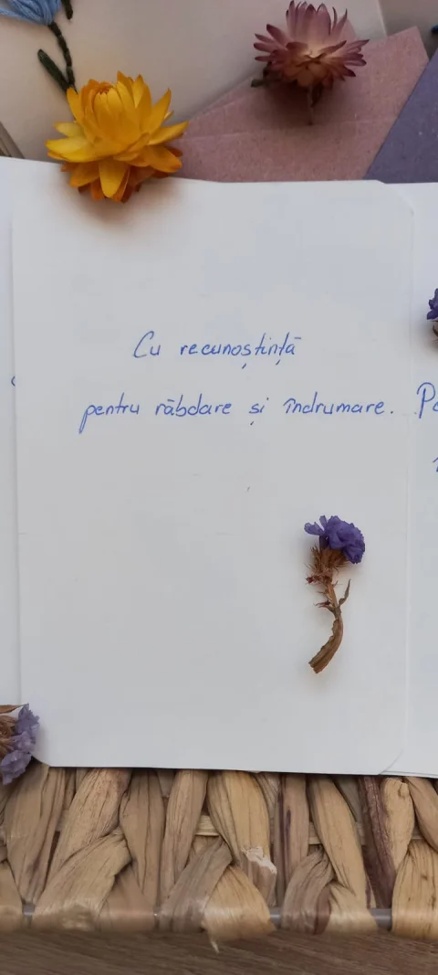 Felicitare cusuta pe carton